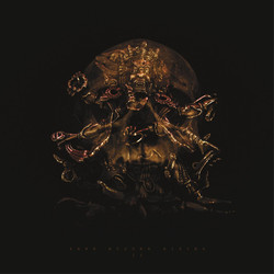 Dark Buddha Rising II Vinyl LP