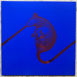 The Dwarfs of East Agouza Rats Don't Eat Synthesizers Vinyl LP
