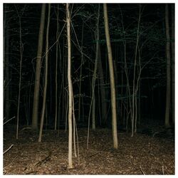 Express Rising Fixed Rope Vinyl LP