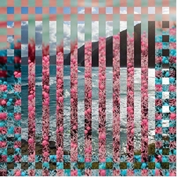 Other Places Lost In The Sea Of Paradise -Download- Vinyl LP