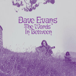 Dave Evans (14) The Words In Between Vinyl LP