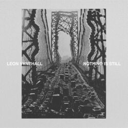 Leon Vynehall Nothing Is Still Vinyl LP