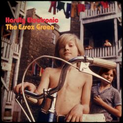 The Essex Green Hardly Electronic Vinyl LP
