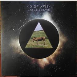 Gov't Mule Dark Side Of The Mule Vinyl 2 LP