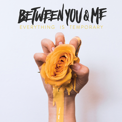 Between You and Me Everything Is Temporary Vinyl LP