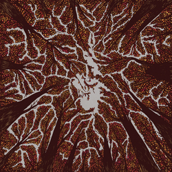 Trash Boat Crown Shyness Vinyl LP
