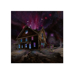 Ancestors Suspended In Reflections vinyl LP