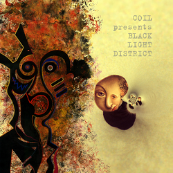 Coil / Black Light District A Thousand Lights In A Darkened Room Vinyl 2 LP