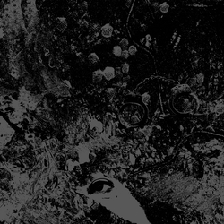 Primitive Man (2) / Unearthly Trance Split Vinyl LP