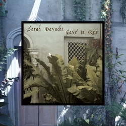 Sarah Davachi Gave In Rest Vinyl LP