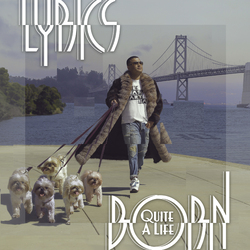 Lyrics Born Quite A Life Vinyl 2 LP