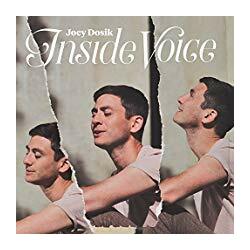 Joey Dosik Inside Voice Vinyl LP