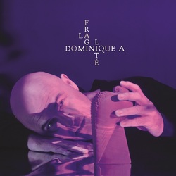 Dominique A. La Fragilité Vinyl LP