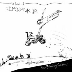 Dinosaur Jr. Ear-Bleeding Country: The Best Of Dinosaur Jr. Vinyl 2 LP