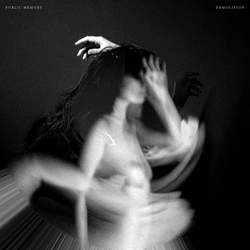 Public Memory Demolition Vinyl LP