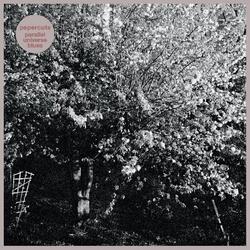 Papercuts (2) Parallel Universe Blues Vinyl LP