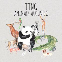 This Town Needs Guns Animals Acoustic Vinyl LP