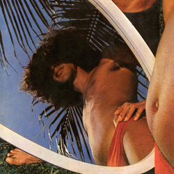 Caetano Veloso Araçá Azul Vinyl LP