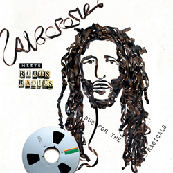 Alborosie / The Roots Radics Dub For The Radicals Vinyl LP