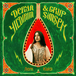Derya Yıldırım / Grup Şimşek Nem Kaldı Vinyl LP