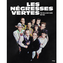 Les Negresses Vertes C'est Pas La Mer A Boire 1987-1993 Vinyl LP