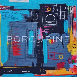 Porcupine What You'Ve Heard Isn'T Real Vinyl LP