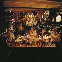 The Cardigans Long Gone Before Daylight Vinyl 2 LP
