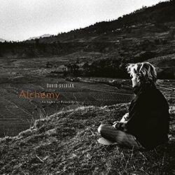 David Sylvian Alchemy An Index Of Possibilities Vinyl LP