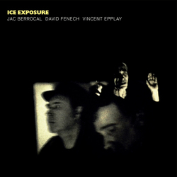 Jac Berrocal / David Fenech / Vincent Epplay Ice Exposure Vinyl LP