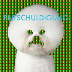 Entschuldigung Entschuldigung Vinyl LP
