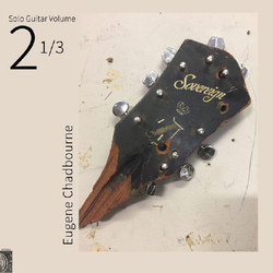 Eugene Chadbourne Solo Guitar Vol.2 Vinyl LP