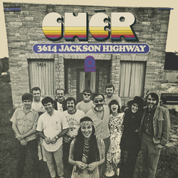 Cher 3614 Jackson Highway Vinyl LP