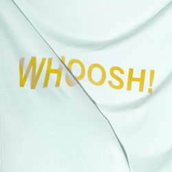 The Stroppies Whoosh Vinyl LP