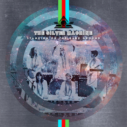 The Silver Machine Standing On The Bare Ground Vinyl LP