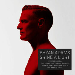 Bryan Adams Shine A Light Vinyl LP