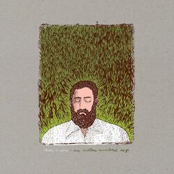 Iron And Wine Our Endless Numbered Days Vinyl LP