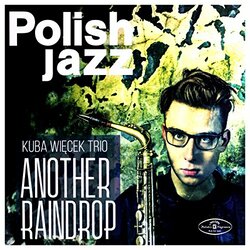 Kuba Więcek Trio Another Raindrop Vinyl LP