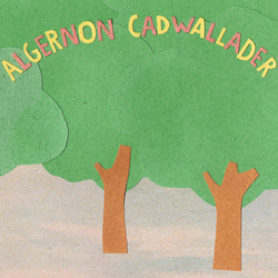 Algernon Cadwallader Some Kind Of Cadwallader Vinyl LP