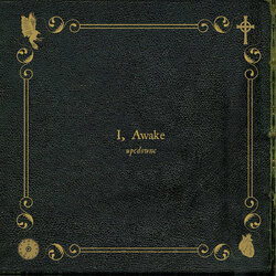 Up-C Down-C Left-C Right-C ABC + Start I, Awake Vinyl 2 LP