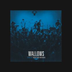 Wallows Live At Third Man Records Vinyl LP