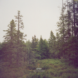 Gidge Autumn Bells Vinyl 2 LP