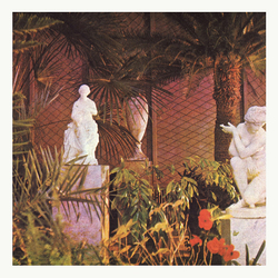 Marja Ahti Vegetal Negatives Vinyl LP
