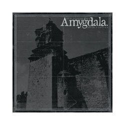 Amygdala (12) Our Voices Will Soar Forever Vinyl LP
