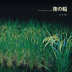 Reiko Kudo / Reiko Kudo 夜の稲 = Rice Field Silently Riping In The Night Vinyl LP