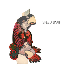 Speed Limit (8) Speed Limit Vinyl LP