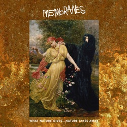 The Membranes What Nature Gives... Nature Takes Away Vinyl 2 LP