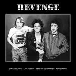 Revenge (12) The Revenge Vinyl LP