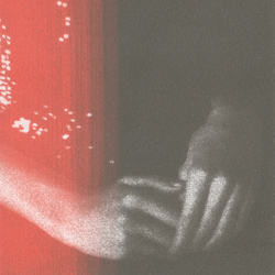 Sontag Shogun It Billows Up Vinyl LP