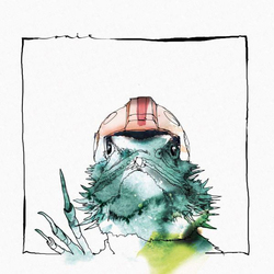 Acid Pauli / Nico Stojan Flying Lizard Vinyl LP