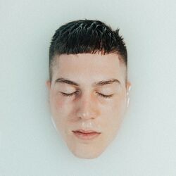 John Floreani Sin Vinyl LP